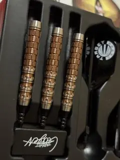 非売品おまけ付き　西谷譲二プロモデル【ラプターG6】