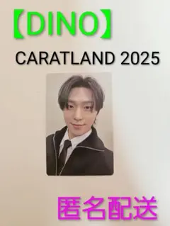 【DINO】 SEVENTEEN in Carat Land 2025トレカ