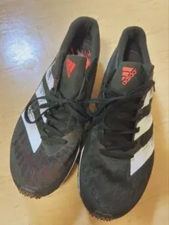 Item thumbnail for item c793bbed-f32e-4b28-8883-ad4761b790a4