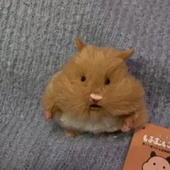 5 新品 livheart はむにぎり キンクマ きなこ ぬいぐるみ ハムスター
