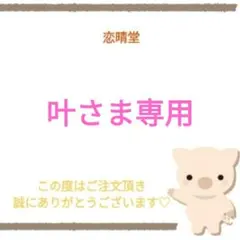 叶さま専用