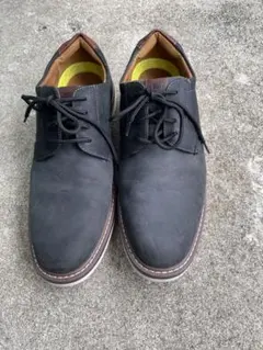 Item thumbnail for item 09dd892b-93b8-403a-bbe1-881a79648729