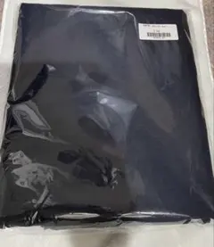 CHECK&STRIPE CS カラーリネン ネイビー 3m 新品未開封