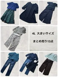 大きいサイズ4L まとめ売り