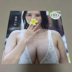 豊島心桜/週刊プレイボーイ特別付録DVD/未開封