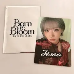 HANA Born to Bloom フォトカードステッカーセット ジス