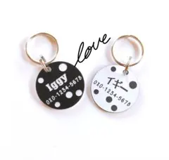 Item thumbnail for item a370cce3-1b85-45d4-8ef1-aef3307a16c0