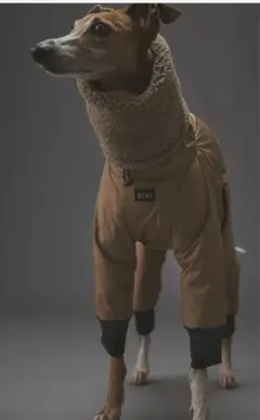 2025年最新】スノースーツ イタグレの人気アイテム - メルカリ