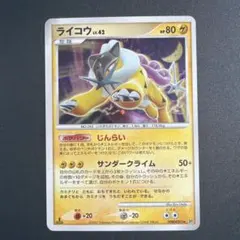 R団のライコウex P 「バトルロードオータム☆2004」公式トーナメント
