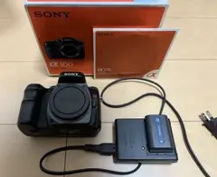 2025年最新】Sony α DSLR-A100の人気アイテム - メルカリ