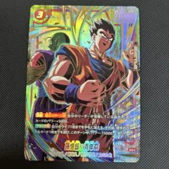 ドラゴンボールデータカードダス z1 孫悟飯青年期 179-Ⅰ 激レア