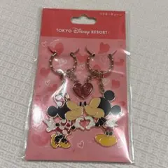 ディズニーランド ミッキー ミニー ペアキーチェーン