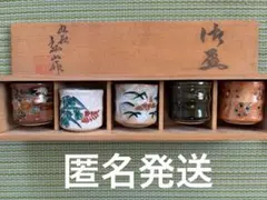 【匿名】九谷焼 湯呑 5客セット 木箱付き 来客用 和食器 茶器