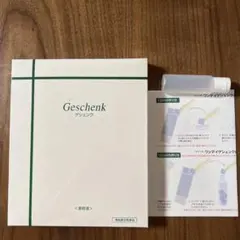 皮膚再生美容液ゲシェンク サロン専売品 皮膚再生 美容液 ゲシェンク 30ml (使用期限2025.9