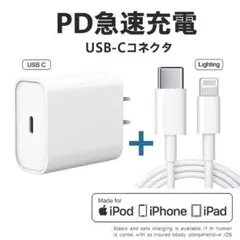 急速充電器 USB-C 15W + Lightningケーブル 1M セット