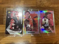 バレーボール 日本代表 ウエハーカード 3枚セット