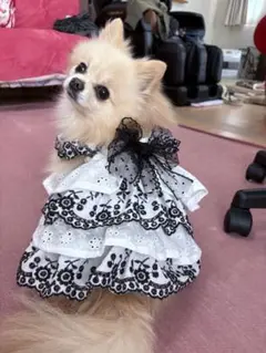 あいちゃん様専用犬服ハンドメイドワンピース