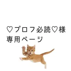 ♡プロフ必読♡様専用ページ
