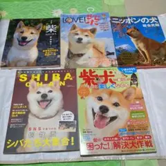 Item thumbnail for item 356cac8a-83d7-449f-af2d-237407b37bf7