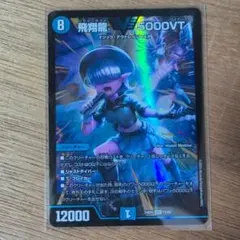 飛翔龍5000vt アセビ 2枚 - メルカリ