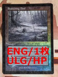 ULG 産卵池/Spawning Pool Foil 状態難 MTGのサムネイル