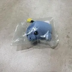 教育番組 タマ退化