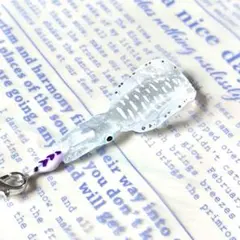 エギで釣られたアオリイカのストラップ(オス)