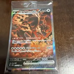 テラスタルフェス　SAR 19枚セット　まとめ売り テラスタルフェス SAR 19枚セット まとめ売り テラスタルフェス