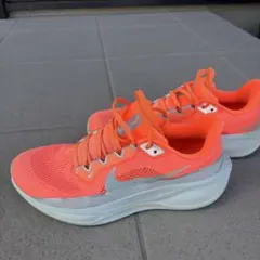 値下げ　Nike ランニングシューズ ペガサス41