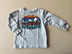 Patagonia 長袖Tシャツ 山柄 6-12M (70cm)