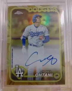 Item thumbnail for item 1147b475-5de3-4dae-8cda-3099e66511e2