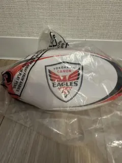 横浜キャノンイーグルス ミニボール