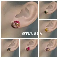ドライフラワーピアス6色ミックス