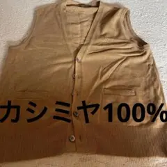 Item thumbnail for item 78a4d21a-52b7-4c45-9a75-a8d685fe5b1b