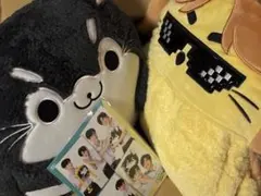 Item thumbnail for item 89fc3bea-8ef0-4899-b4d5-4023b141d798