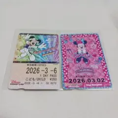 リゾラフリーきっぷ　クラブマウスビート　ミニー