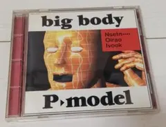 希少品】核P-MODEL Big Brother-可逆的分離態様 平沢進 - メルカリ