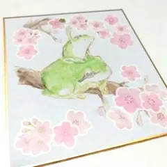 【手描きイラスト】桜とカエルの親子 アナログ/水彩画