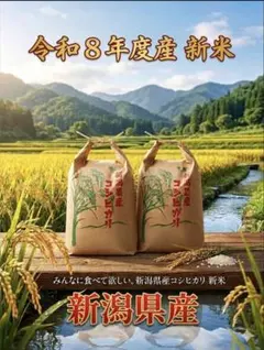 農家直送】令和7年長野県安曇野市産コシヒカリ白米10kg - メルカリ