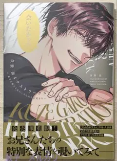 久世岳イラストワークス　表でも裏でもない、うらみちお兄さん　画集