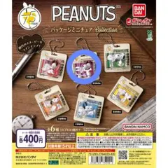 PEANUTS パッケージミニチュアコレクション 1960s