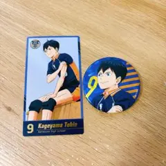 ハイキュー　影山飛雄　缶バッジ　チケット風カード　ハイキュー展　ゴミ捨て場の決戦