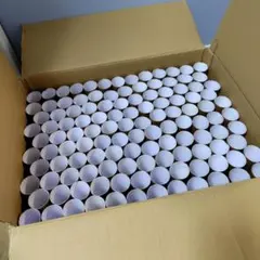 Item thumbnail for item 36ed0e61-d1e1-4525-8820-ec72b100a1c0