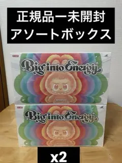 未開封・正規品　ラブブ Big into Energy アソートボックス 2個