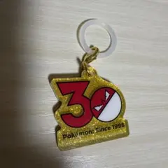 ポケモン 30周年 アクリルキーホルダー マルマイン