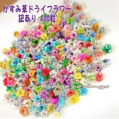 かすみ草ドライフラワー 【訳あり】 400粒 2