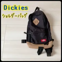 Dickies ショルダーバッグ 黒 キャンバス