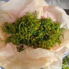【滋賀県高島産】半分開花の花山椒 150g｜香り鮮度◎】※真空パック冷凍でお届け 滋賀県高島産】半開花、花山椒 50g｜鮮度◎※摘みたてを色出しし真空