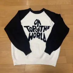 WEGOで購入したセーター