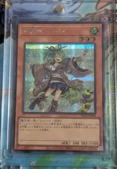 2025年最新】風霊使いウィン シークレット 決闘者の王国の人気アイテム